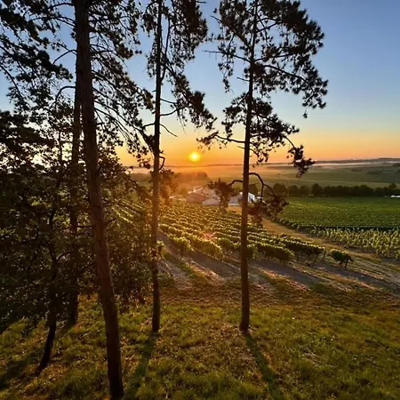 בקתה Le Des Pins Sur Les Vignes