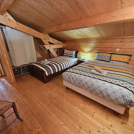 Le Des Pins Sur Les Vignes