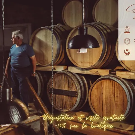 Le Des Pins Sur Les Vignes