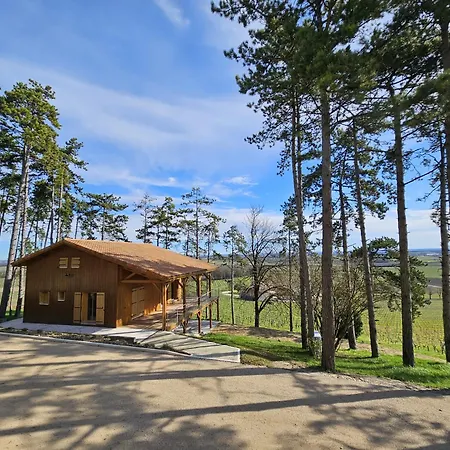 Le Des Pins Sur Les Vignes *