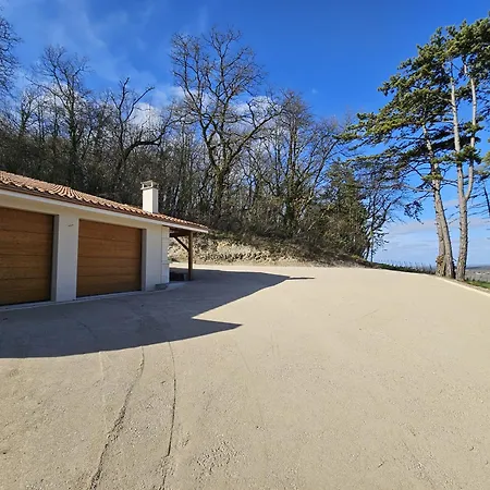 Le Des Pins Sur Les Vignes * Bonneuil (Charente)