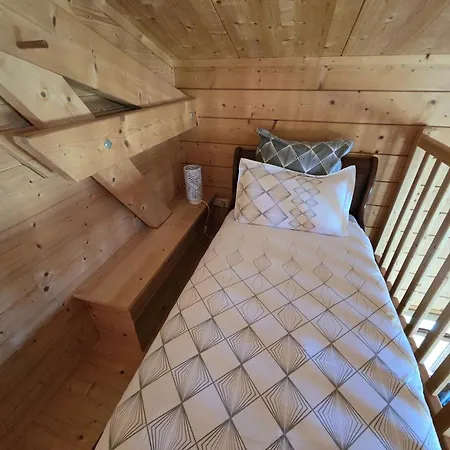 Le Des Pins Sur Les Vignes Bonneuil (Charente)