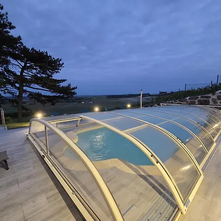 Le Des Pins Sur Les Vignes