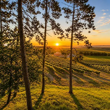 Le Des Pins Sur Les Vignes Domek alpejski Bonneuil (Charente)