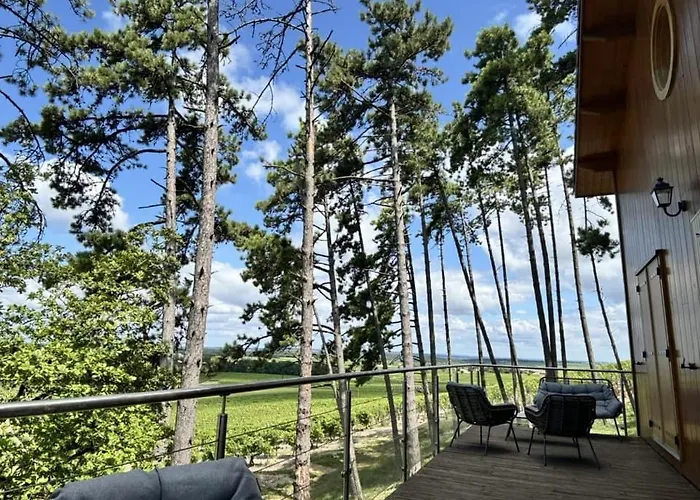 Le Des Pins Sur Les Vignes 木屋