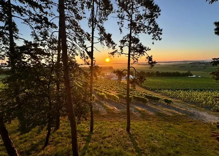 木屋 Le Des Pins Sur Les Vignes