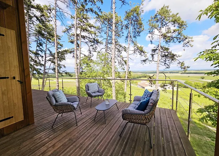 Le Des Pins Sur Les Vignes Bonneuil (Charente)