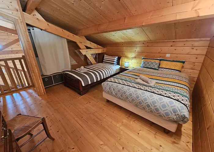 Le Des Pins Sur Les Vignes