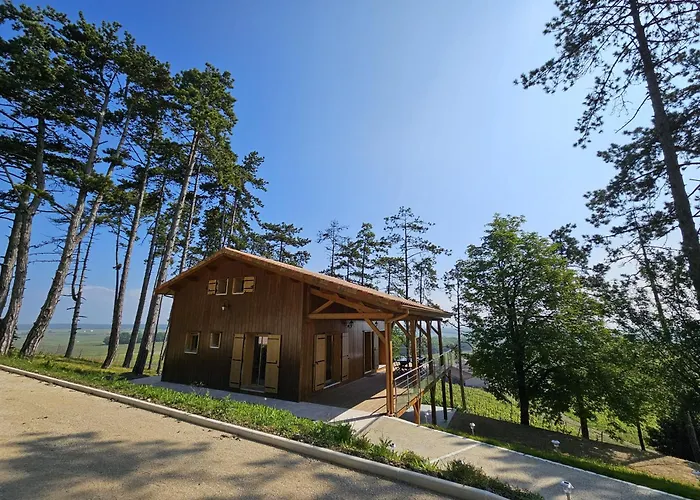 Le Des Pins Sur Les Vignes *