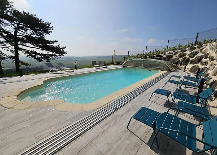 Le Des Pins Sur Les Vignes Bonneuil (Charente)