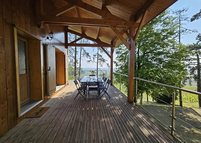 Le Des Pins Sur Les Vignes