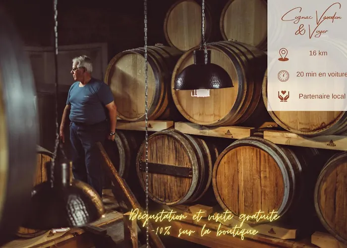 Le Des Pins Sur Les Vignes