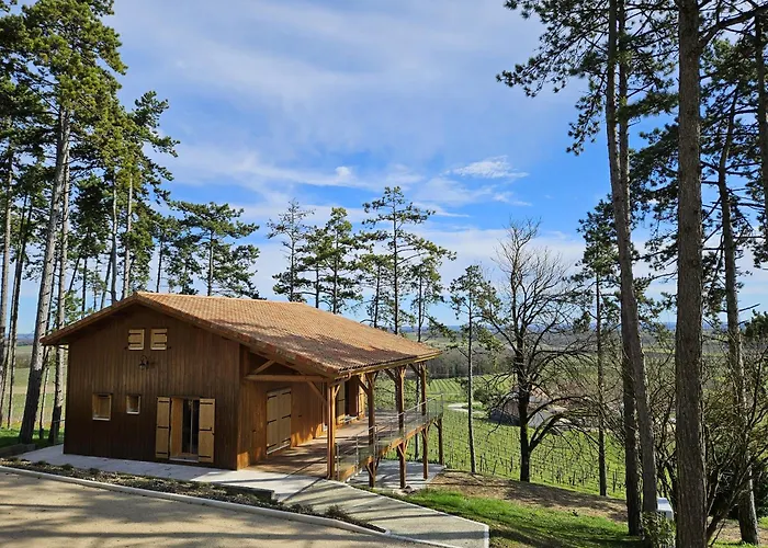 Le Des Pins Sur Les Vignes Bonneuil (Charente)