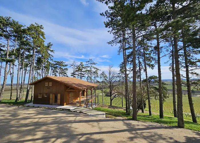 Le Des Pins Sur Les Vignes *