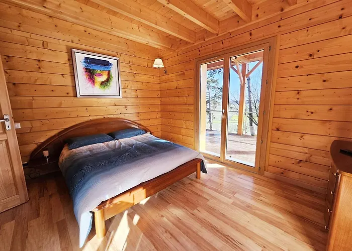 Le Des Pins Sur Les Vignes