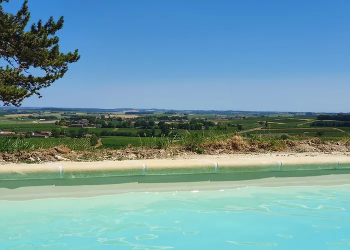 Le Des Pins Sur Les Vignes * Bonneuil (Charente)