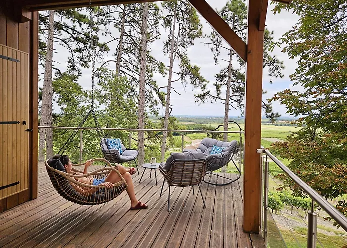 Le Des Pins Sur Les Vignes Bonneuil (Charente)