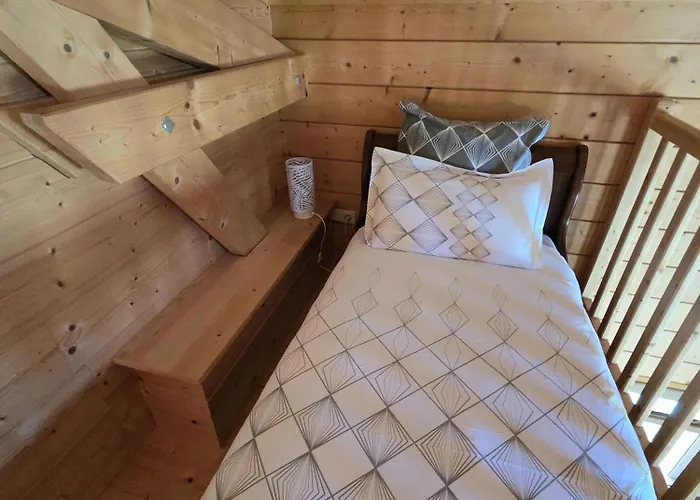 Le Des Pins Sur Les Vignes Bonneuil (Charente)